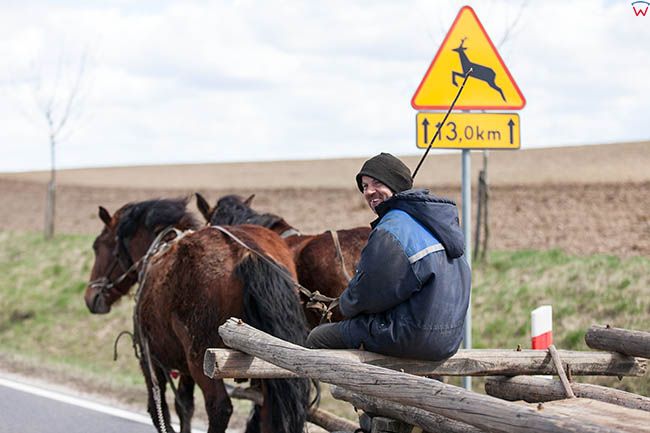 Szczepankowo, miejscowy rolnik korzysta z zaprzegu konnego do przemieszczania sie po okolicy. EU, PL, Warm-Maz.
